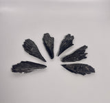 Black Kyanite Fan