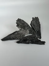 Black Kyanite Fan