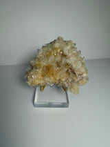 Sunset Pink Lemurian Needle Quartz Cluster - MCL14