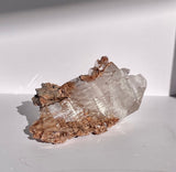 Bermejillo Selenite on Matrix - TUS38