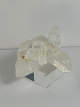 Lemurian Quartz Cluster - SC5