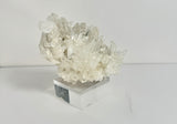 Pink Lemurian Needle Quartz Cluster - SSL8