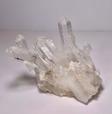 Lemurian Quartz Cluster - SC48