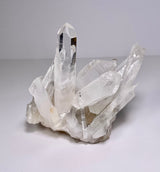 Lemurian Quartz Cluster - SC48