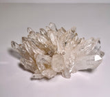 Pink Lemurian Cluster - PL11