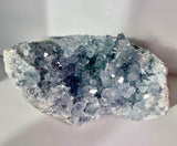 Celestite Cluster - CL1