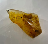 Copal | Fossilized Tree Resin