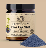 BUTTERFLY PEA FLOWER | Blue Healer