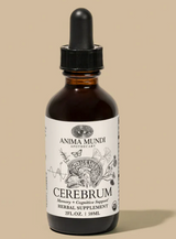 Cerebrum Tonic | Memory + Cognitive Support