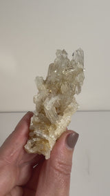 Pink Lemurian Needle Quartz Cluster - MCL16