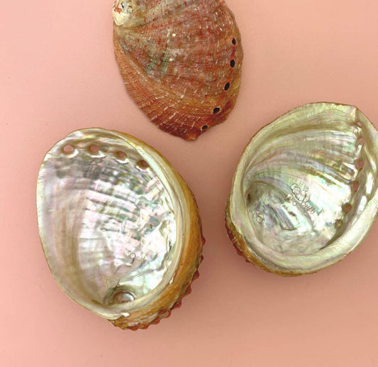 Abalone Sea Shell Bowl